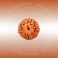 INDONESIAN RUDRAKSHA 